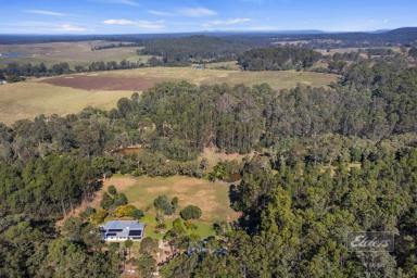 Farm For Sale - QLD - Bauple - 4650 - LOVE THE COUNTRY? THEN YOU WILL LOVE THIS PLACE!  (Image 2)