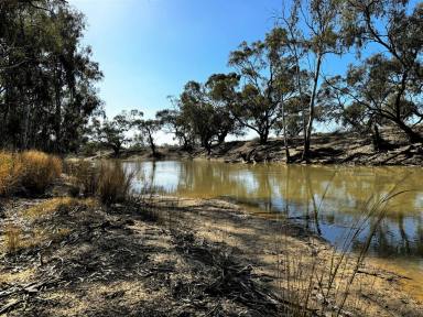 Farm Auction - NSW - Deniliquin - 2710 - Yallakool Creek Paradise  (Image 2)