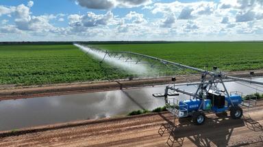 Mabins Well Road, Conargo NSW 2710