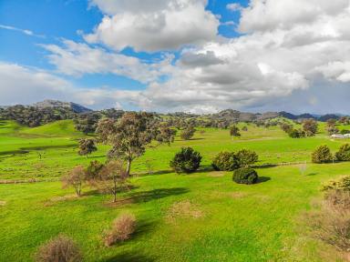 Farm For Sale - NSW - Tumut - 2720 - "Rose Hill"  (Image 2)