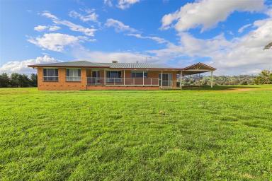 Farm For Sale - NSW - Tumut - 2720 - "Rose Hill"  (Image 2)