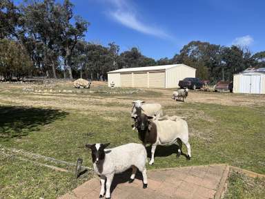 Farm For Sale - NSW - Bungonia - 2580 - 25 acres, Mountain & Valley Views, 3 BR Cottage, Triple Garage/Workshop, Power, Studio, Perfect Lifestyle Property.  (Image 2)