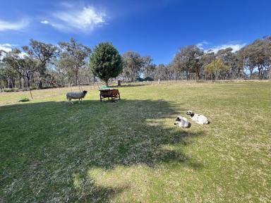 Farm For Sale - NSW - Bungonia - 2580 - 3 BR House On The Hillside, Nice Mountain & Valley Views, Ideal Lifestyle Property In The Country.  (Image 2)