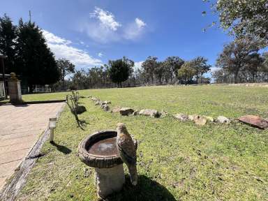 Farm For Sale - NSW - Bungonia - 2580 - 25 acres, Mountain & Valley Views, 3 BR Cottage, Triple Garage/Workshop, Power, Studio, Perfect Lifestyle Property.  (Image 2)