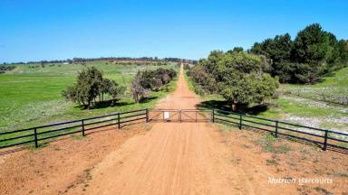 Farm For Sale - WA - Gingin - 6503 - "FERNVIEW FARM" A Large Secluded Holding Suited To An Array Of Industries and Intensive Farming!  (Image 2)