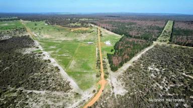 Farm For Sale - WA - Gingin - 6503 - "FERNVIEW FARM" A Large Secluded Holding Suited To An Array Of Industries and Intensive Farming!  (Image 2)