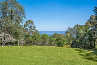 Farm For Sale - QLD - Curramore - 4552 - COUNTRY QUIET WITH BIG VALLEY VIEWS  (Image 2)