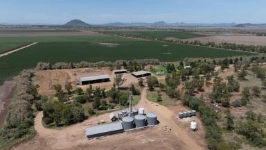 Farm For Sale - NSW - Mullaley - 2379 - Carnarvon Aggregation, Mullaley  (Image 2)