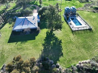 Farm For Sale - QLD - Texas - 4385 - Mt Bowman, Riverton  (Image 2)