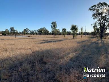 Farm For Sale - QLD - Tara - 4421 - Under Contract by Team Barker  (Image 2)