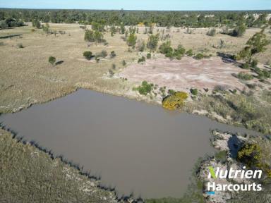 Farm For Sale - QLD - Tara - 4421 - Under Contract by Team Barker  (Image 2)