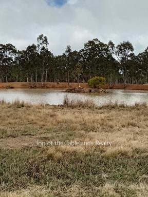 Farm For Sale - QLD - Millstream - 4888 - What ever you want, lots of land and water.  (Image 2)