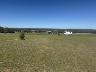 Farm For Sale - NSW - Inverell - 2360 - Lifestyle Block on Acres  (Image 2)