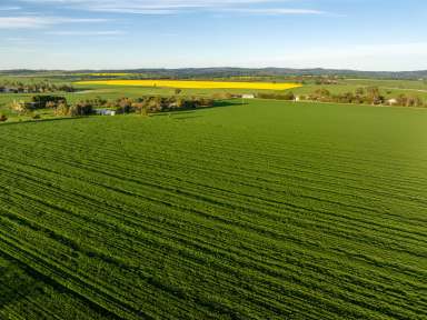 Farm For Sale - NSW - Wagga Wagga - 2650 - A Serene Rural Sanctuary  (Image 2)