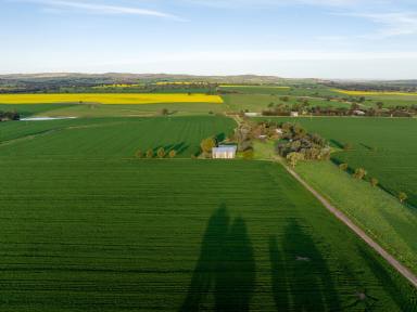 Farm For Sale - NSW - Wagga Wagga - 2650 - A Serene Rural Sanctuary  (Image 2)