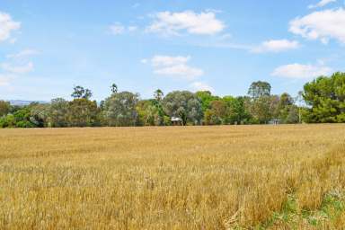 Farm For Sale - NSW - Wagga Wagga - 2650 - The best of both worlds minutes from Wagga  (Image 2)