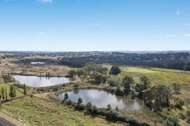 Farm For Sale - NSW - Orange - 2800 - 88 acres in Borenore + building entitlement .  (Image 2)