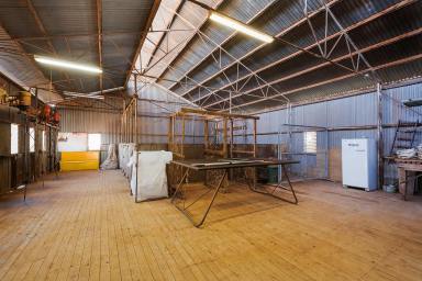 Farm For Sale - NSW - Bobadah - 2877 - All the hard work is done !!!  (Image 2)