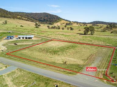 Farm For Sale - NSW - Gloucester - 2422 - SUPERBURB LIFESTYLE BLOCK - CLOSE TO TOWN  (Image 2)