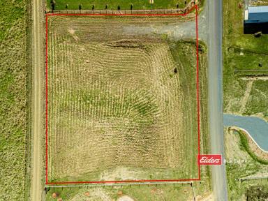 Farm For Sale - NSW - Gloucester - 2422 - SUPERBURB LIFESTYLE BLOCK - CLOSE TO TOWN  (Image 2)