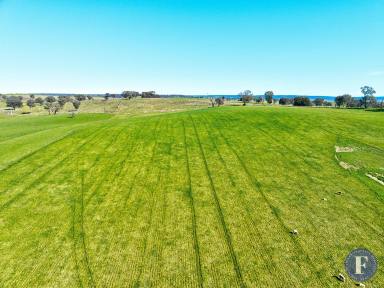 Farm For Sale - NSW - Murringo - 2586 - Rural Surrounds, Great Building Block, Willing Vendor!  (Image 2)