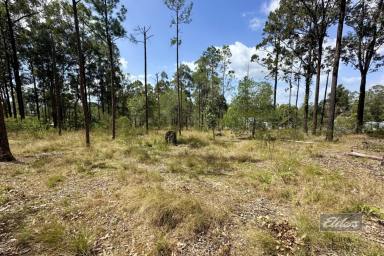 Farm For Sale - QLD - Glenwood - 4570 - BUILD YOUR HOME AMONGST THE GUM TREES!  (Image 2)