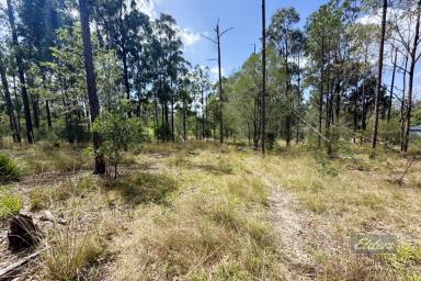 Farm For Sale - QLD - Glenwood - 4570 - BUILD YOUR HOME AMONGST THE GUM TREES!  (Image 2)