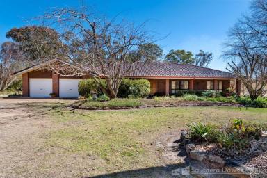 Farm For Sale - QLD - Stanthorpe - 4380 - DEVELOP? LAND BANK? FAMILY HOME? ENDLESS OPTIONS!  (Image 2)