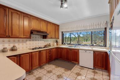 Farm For Sale - QLD - Stanthorpe - 4380 - DEVELOP? LAND BANK? FAMILY HOME? ENDLESS OPTIONS!  (Image 2)