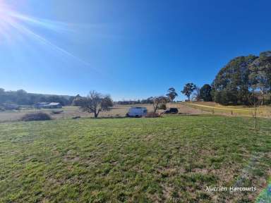 Farm Sold - VIC - Digby - 3309 - Acreage to graze, camp or build your dream home.  (Image 2)