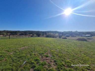 Farm Sold - VIC - Digby - 3309 - Acreage to graze, camp or build your dream home.  (Image 2)