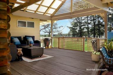 Farm For Sale - VIC - Casterton - 3311 - Ultimate off grid lifestyle property.  (Image 2)