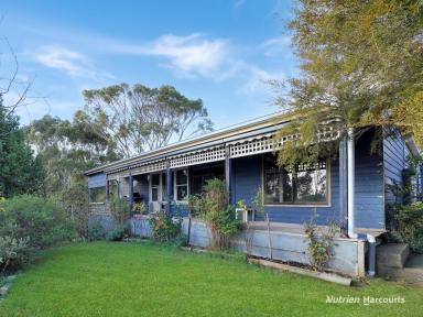 Farm For Sale - VIC - Merino - 3310 - Equine enthusiasts take note- ultimate lifestyle property awaits.  (Image 2)