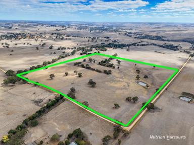 Farm For Sale - VIC - Henty - 3312 - Country living minutes from town.  (Image 2)