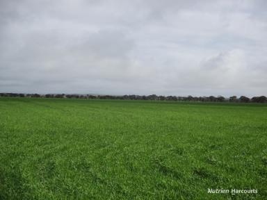 Farm For Sale - WA - Newdegate - 6355 - Expressions of Interest closing Thursday, 31st October 2024  (Image 2)