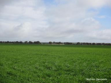 Farm For Sale - WA - Newdegate - 6355 - Expressions of Interest closing Thursday, 31st October 2024  (Image 2)