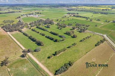 Farm For Sale - VIC - Kotta - 3565 - MAGNIFICENT DAIRY FARM AND COMPREHENSIVE SHEDDING ON 263 ACRES  (Image 2)