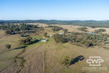 Farm For Sale - NSW - Wellingrove - 2370 - "Greenhills" on the Severn River  (Image 2)