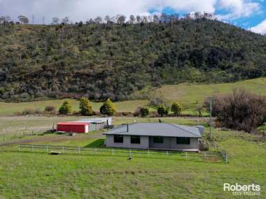 Farm For Sale - TAS - Magra - 7140 - Charming Family Residence On 20 Acres  (Image 2)