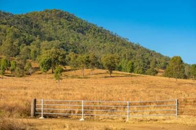 Farm For Sale - QLD - Woolooga - 4570 - Large Scale Rural Lifestyle Opportunity  (Image 2)