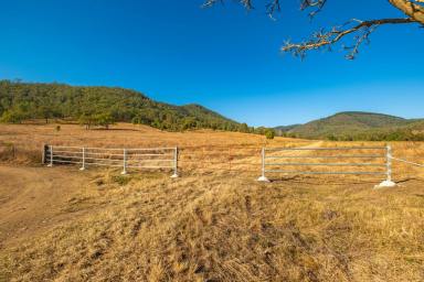 Farm For Sale - QLD - Woolooga - 4570 - Large Scale Rural Lifestyle Opportunity  (Image 2)