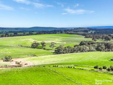 Farm For Sale - SA - Inman Valley - 5211 - 'Coomooloo' - 9 titles of big, ag-rich potential on 385-hectares.  (Image 2)