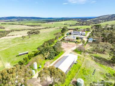 Farm For Sale - SA - Inman Valley - 5211 - 'Coomooloo' - 9 titles of big, ag-rich potential on 385-hectares.  (Image 2)