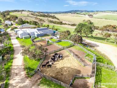 Farm For Sale - SA - Inman Valley - 5211 - 'Coomooloo' - 9 titles of big, ag-rich potential on 385-hectares.  (Image 2)