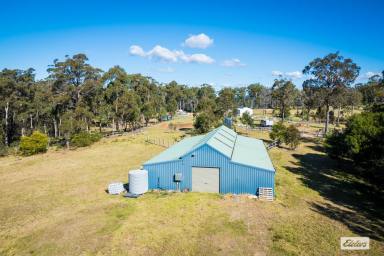 Farm For Sale - NSW - Kalaru - 2550 - Exceptional Development Opportunity – 60+ Acres Near Blackfellows Lake, Kalaru  (Image 2)