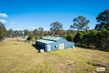 Farm For Sale - NSW - Kalaru - 2550 - Exceptional Development Opportunity – 60+ Acres Near Blackfellows Lake, Kalaru  (Image 2)