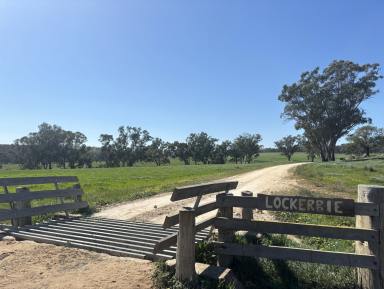 Farm Expressions of Interest - NSW - Dunedoo - 2844 - 3,338 ha (8,248 ac) - As a whole or three lots  (Image 2)