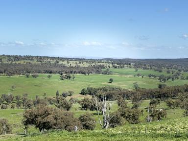 Farm Expressions of Interest - NSW - Dunedoo - 2844 - 3,338 ha (8,248 ac) - As a whole or three lots  (Image 2)