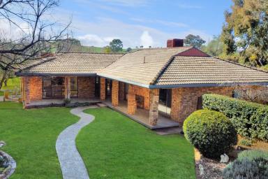 Farm For Sale - NSW - Cowra - 2794 - Idyllic country home on 10 Acres*!  (Image 2)