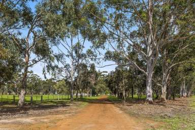 Farm For Sale - WA - Bullsbrook - 6084 - " RARE EARTH "  (Image 2)